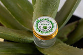Pure Aloe Vera Gel 100gm